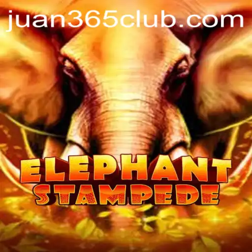 Discover ElephantStampede: Immerse Yourself in the Thrilling Gaming Experience